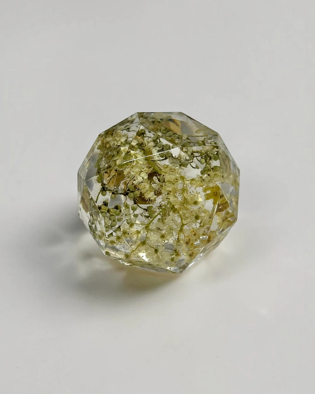 Gałka meblowa Czarny bez (Sambucus nigra) · gałka licem, pod kątem