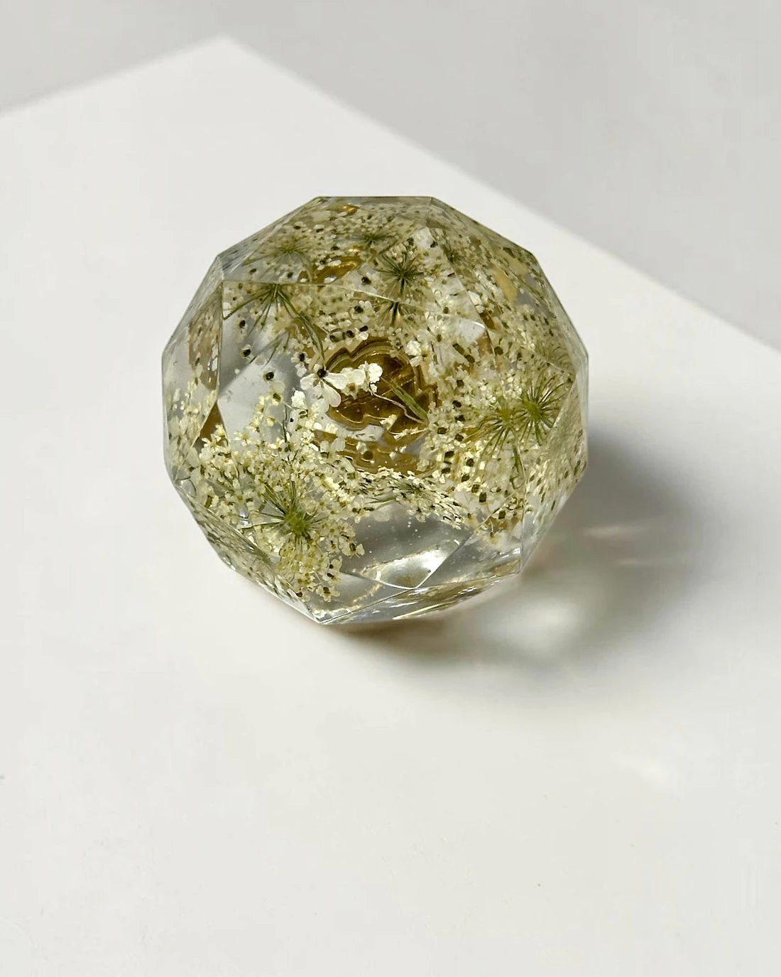 Gałka meblowa Dzika marchew (Daucus carota) · gałka licem do góry, widać fasety
