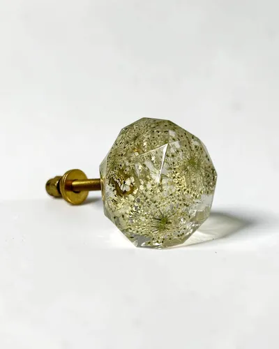 Gałka meblowa Dzika marchew (Daucus carota)