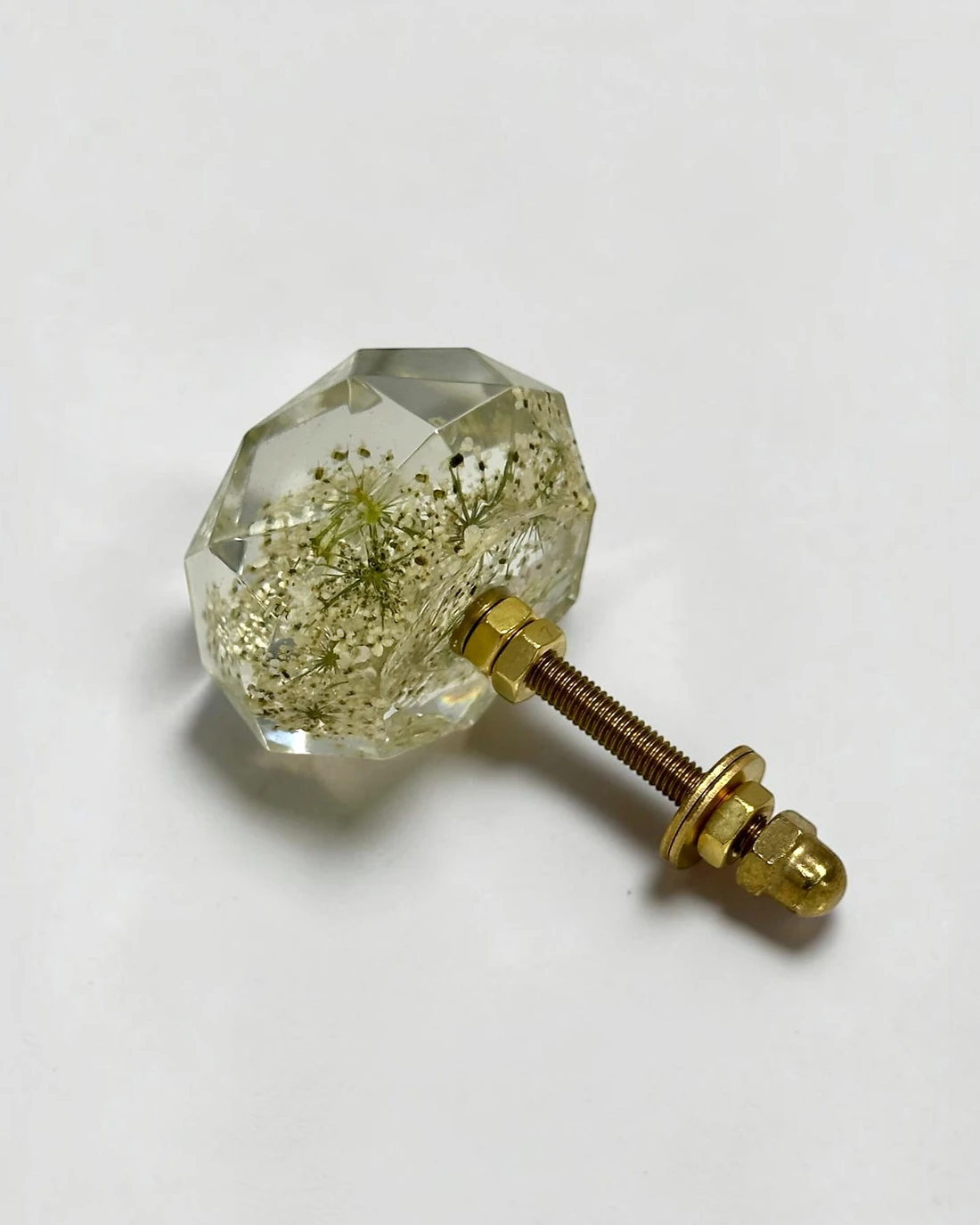 Gałka meblowa Dzika marchew (Daucus carota) · gałka ze śrubą i nakrętkami, pod kątem