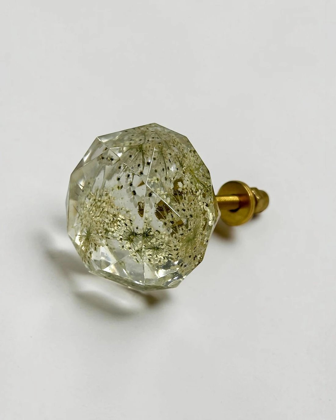 Gałka meblowa Dzika marchew (Daucus carota) · gałka pod kątem, ze śrubą