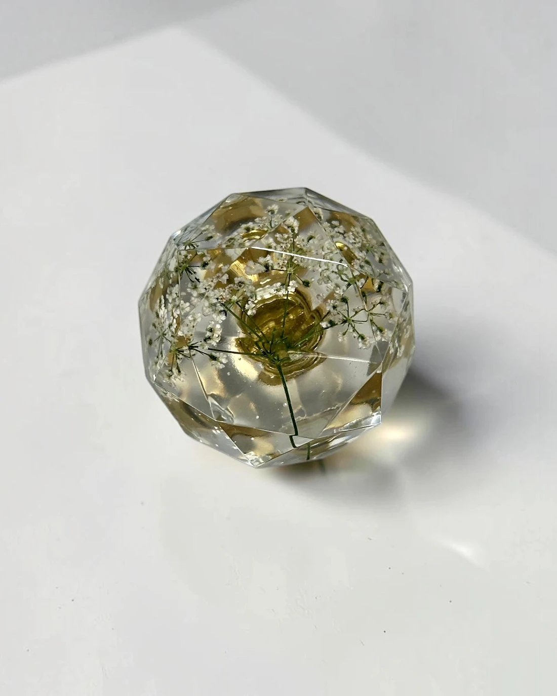 Gałka meblowa Trybula leśna (Anthriscus sylvestris) · gałka licem do góry, widać fasety