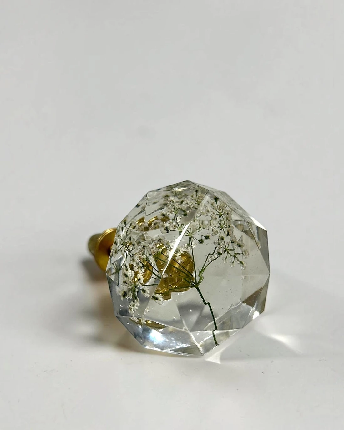 Gałka meblowa Trybula leśna (Anthriscus sylvestris) · gałka pod kątem, ze śrubą