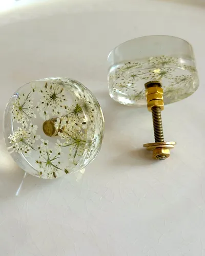 Gałka meblowa Dzika marchew (Daucus carota)