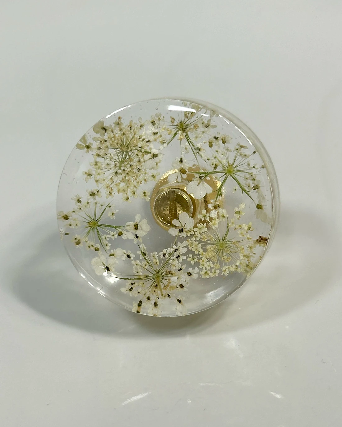 Gałka meblowa Dzika marchew (Daucus carota) · gałka licem do góry