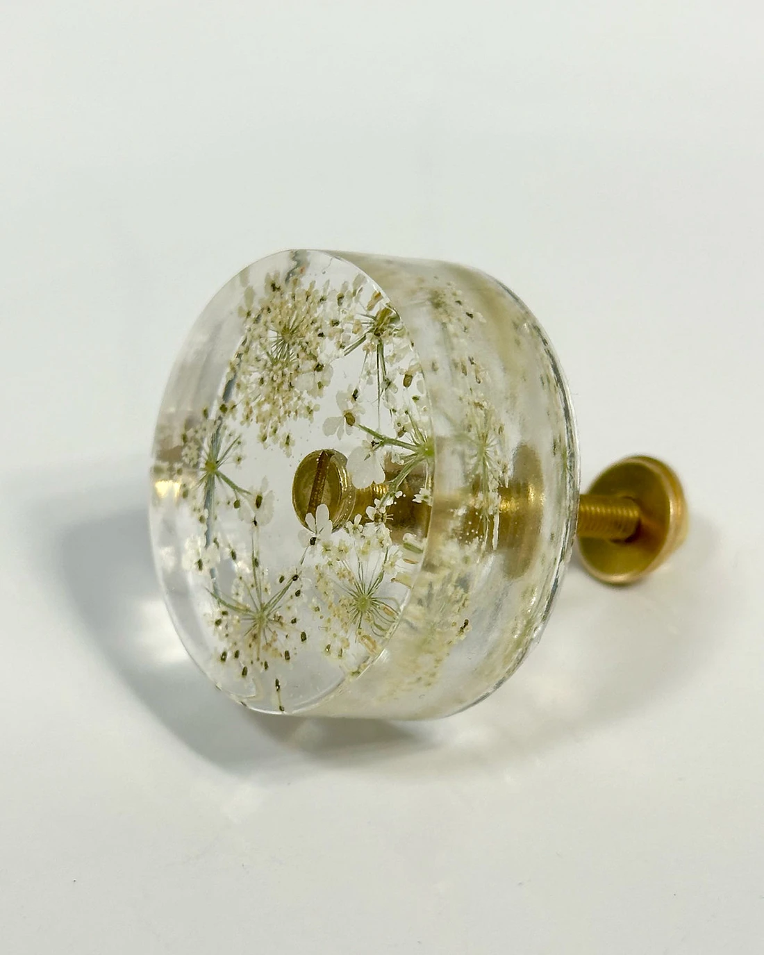 Gałka meblowa Dzika marchew (Daucus carota) · gałka pod kątem, ze śrubą