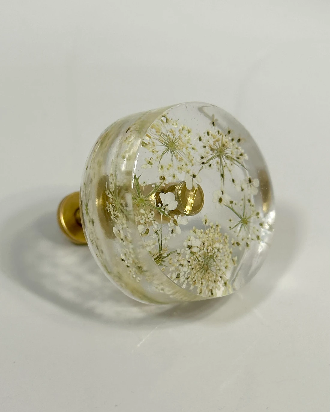 Gałka meblowa Dzika marchew (Daucus carota) · gałka pod skosem, widać ściankę boczną