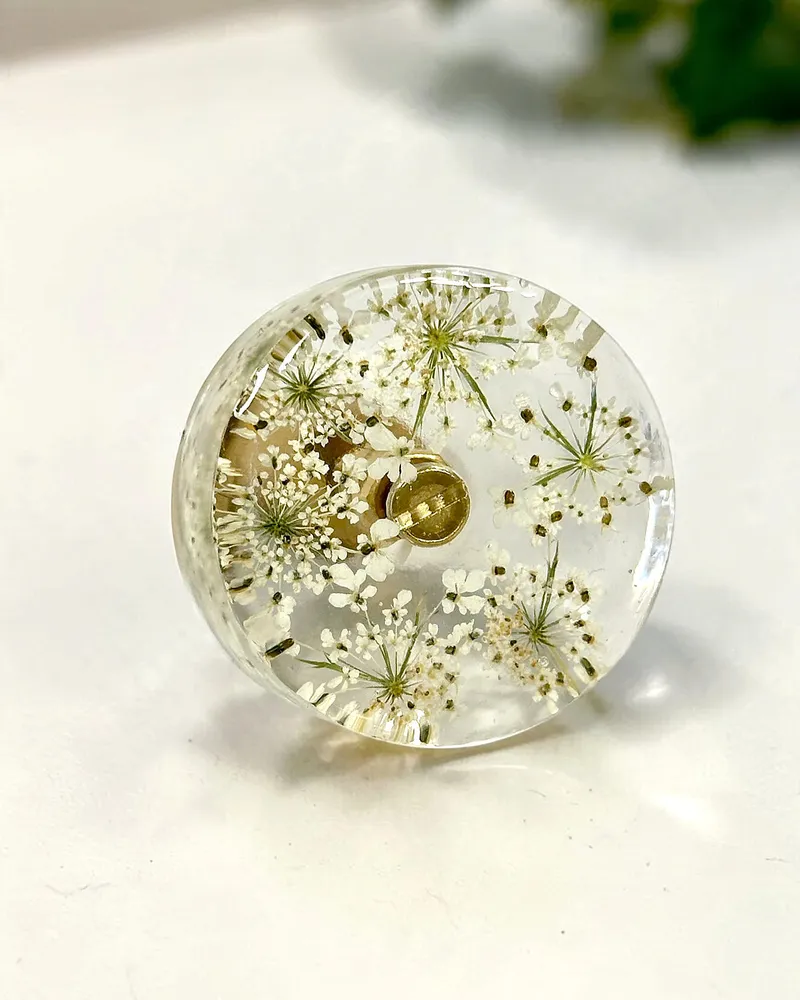 Gałka meblowa Dzika marchew (Daucus carota)