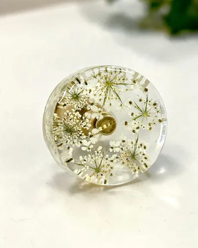 Gałka meblowa Dzika marchew (Daucus carota)