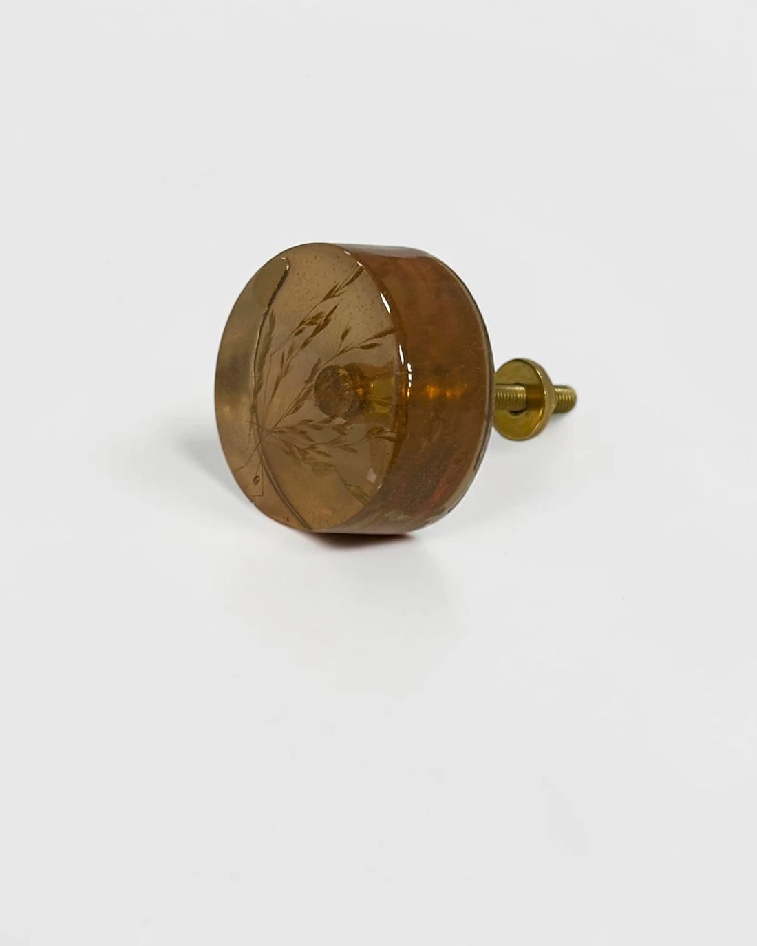 Gałka meblowa Kłos trawy (Poaceae) · gałka pod kątem, na jasnym tle