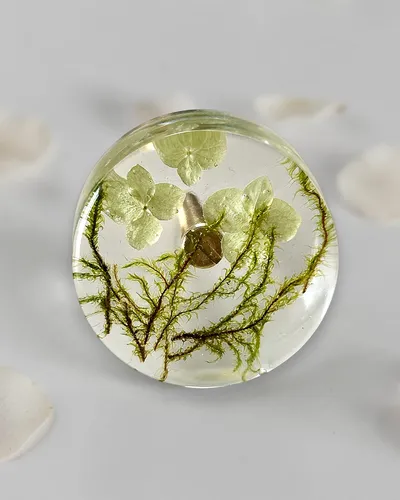 Gałka meblowa Mech (Bryophyta)