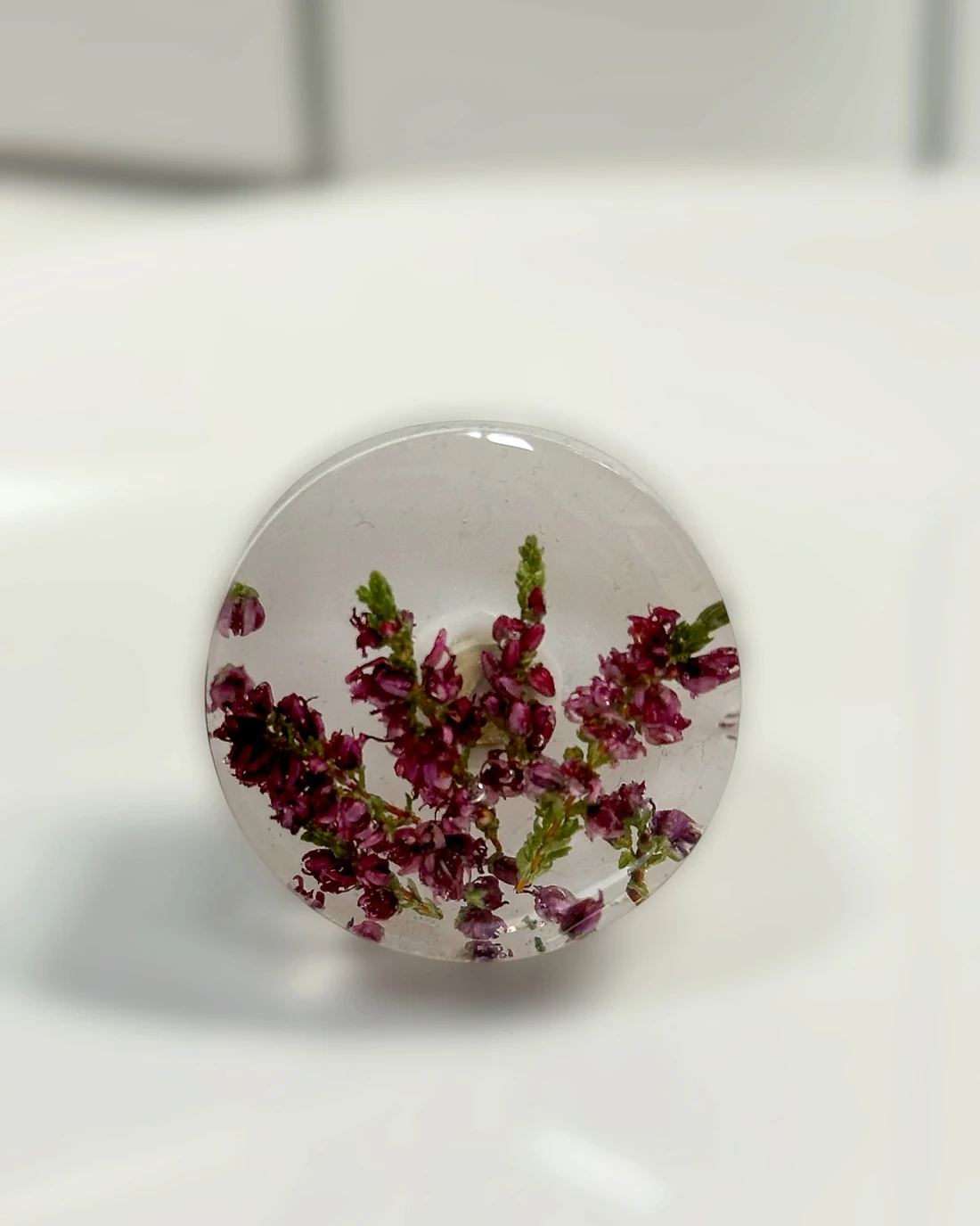 Gałka meblowa Wrzos (Calluna vulgaris) · gałka licem