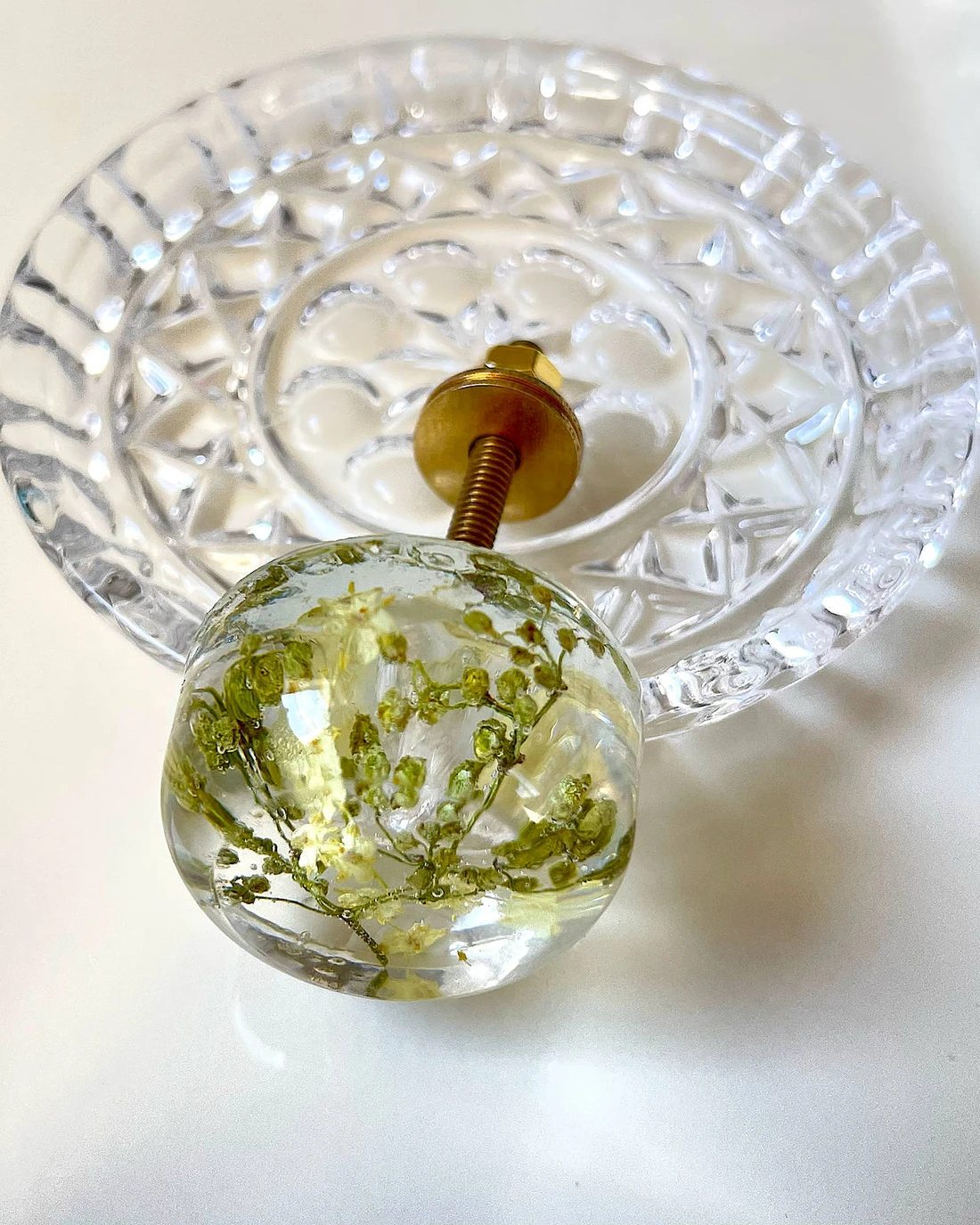 Gałka meblowa Czarny bez (Sambucus nigra) · gałka na kryształowym talerzyku