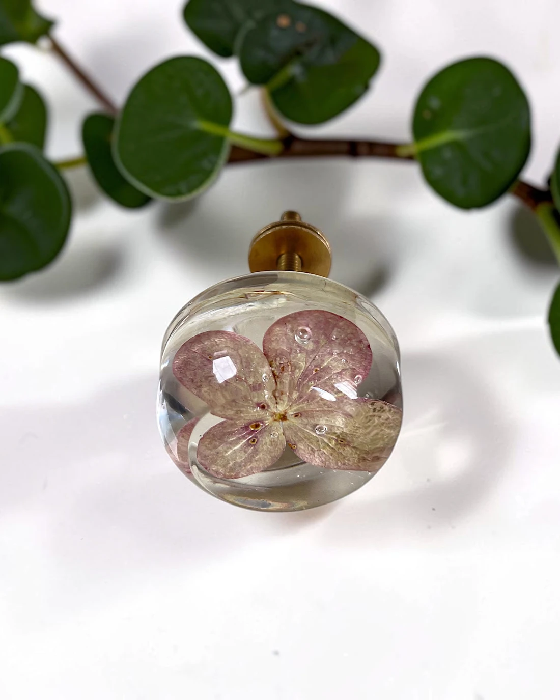 Gałka meblowa Hortensja bukietowa (Hydrangea paniculata) · gałka z różową hortensją, obok zielone listki