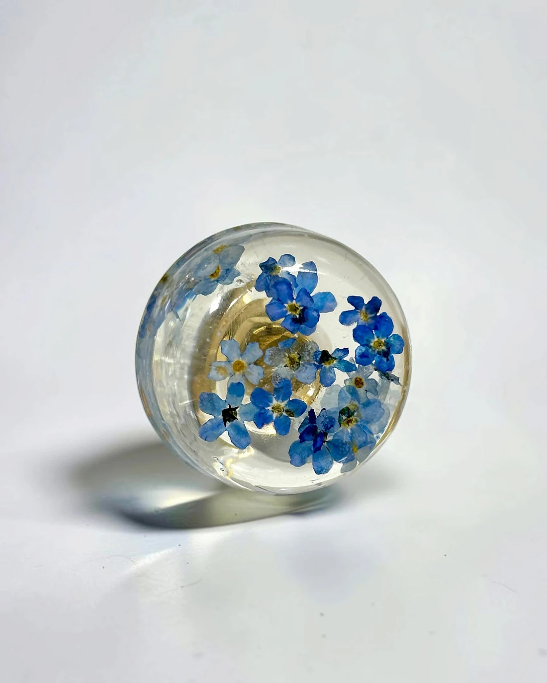 Gałka meblowa Niezapominajka (Myosotis) · gałka licem, na jasnym tle