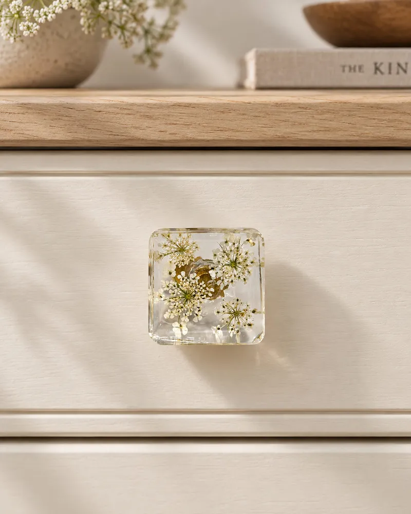 Gałka meblowa Dzika marchew (Daucus carota)