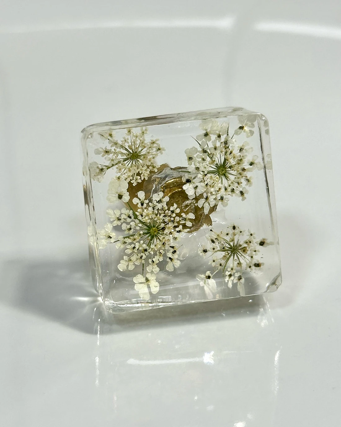 Gałka meblowa Dzika marchew (Daucus carota) · gałka licem do góry