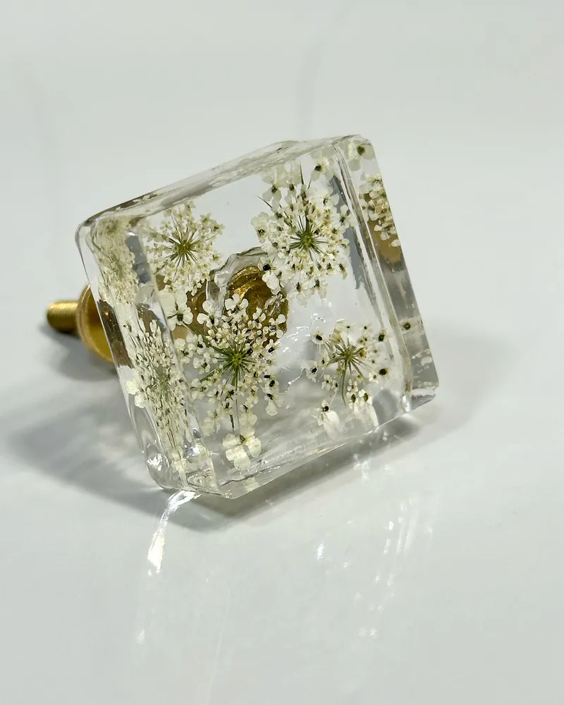 Gałka meblowa Dzika marchew (Daucus carota)