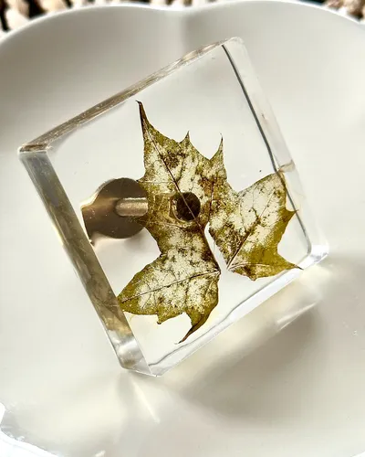Gałka meblowa Liść klonu (Acer platanoides)