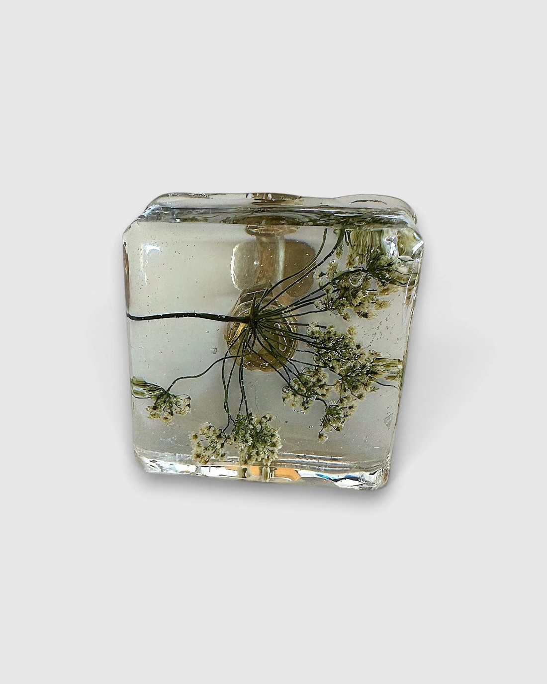 Gałka meblowa Trybula leśna (Anthriscus sylvestris) · gałka z bliska