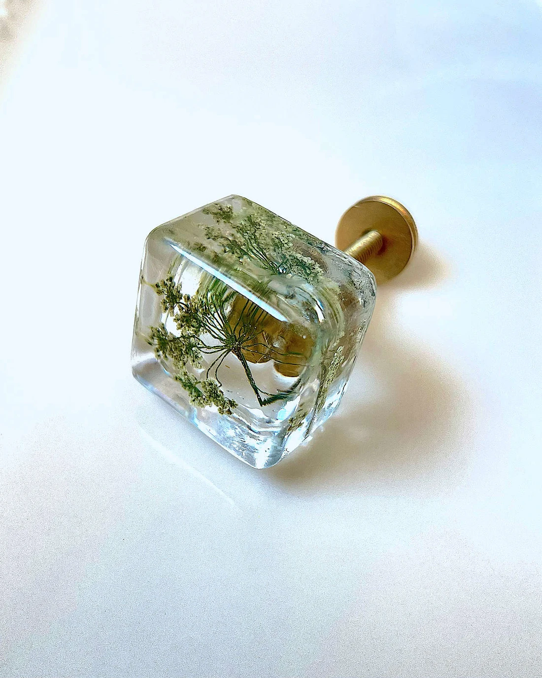 Gałka meblowa Trybula leśna (Anthriscus sylvestris) · gałka pod kątem