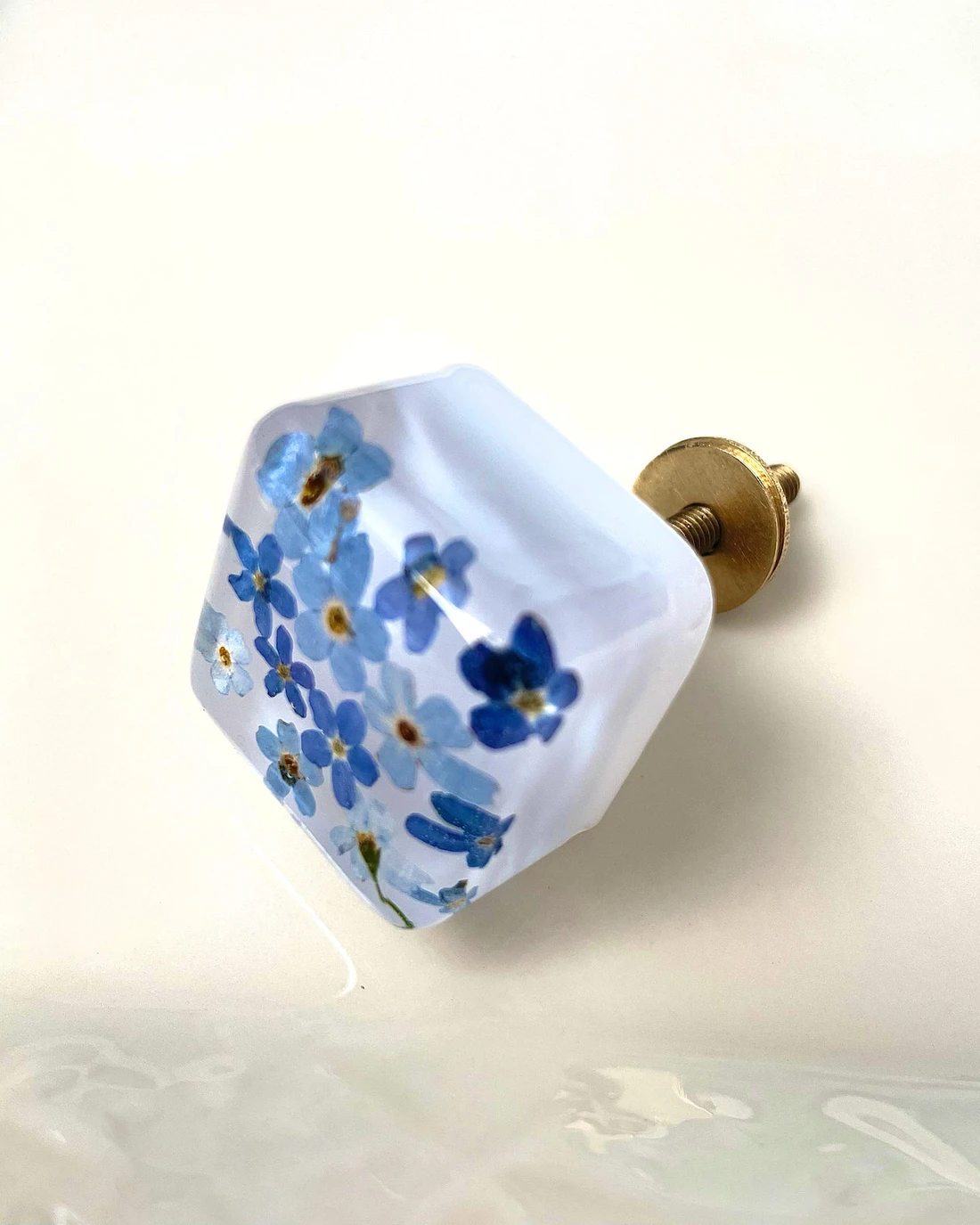 Gałka meblowa Niezapominajka (Myosotis) · gałka na białym tle