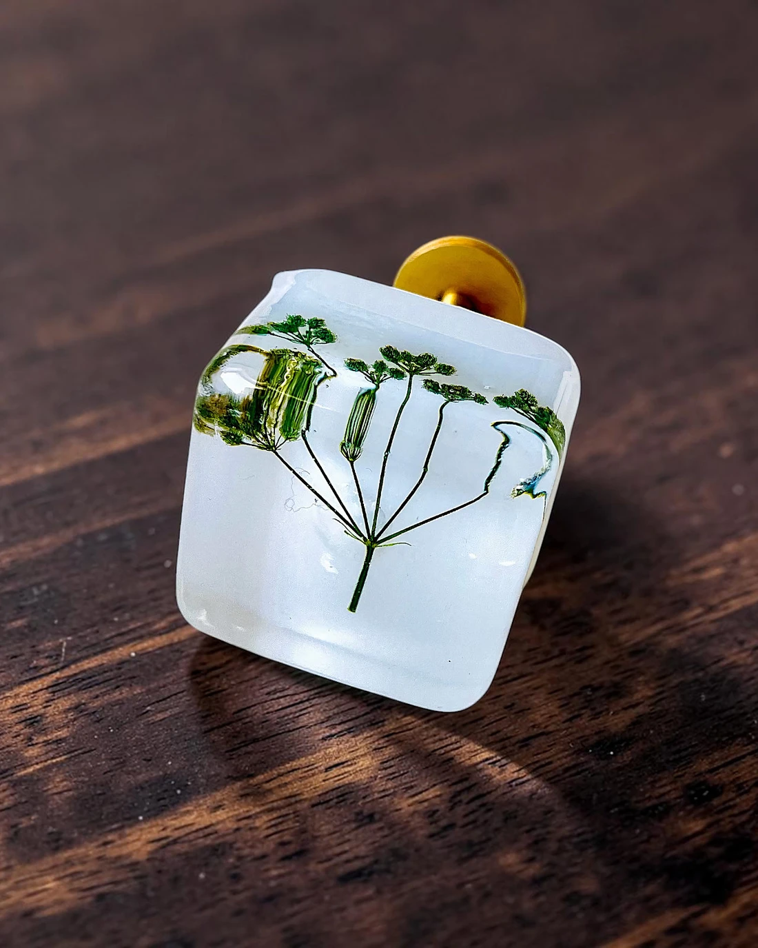 Gałka meblowa Trybula leśna (Anthriscus sylvestris) · gałka pod kątem, na ciemnym drewnie