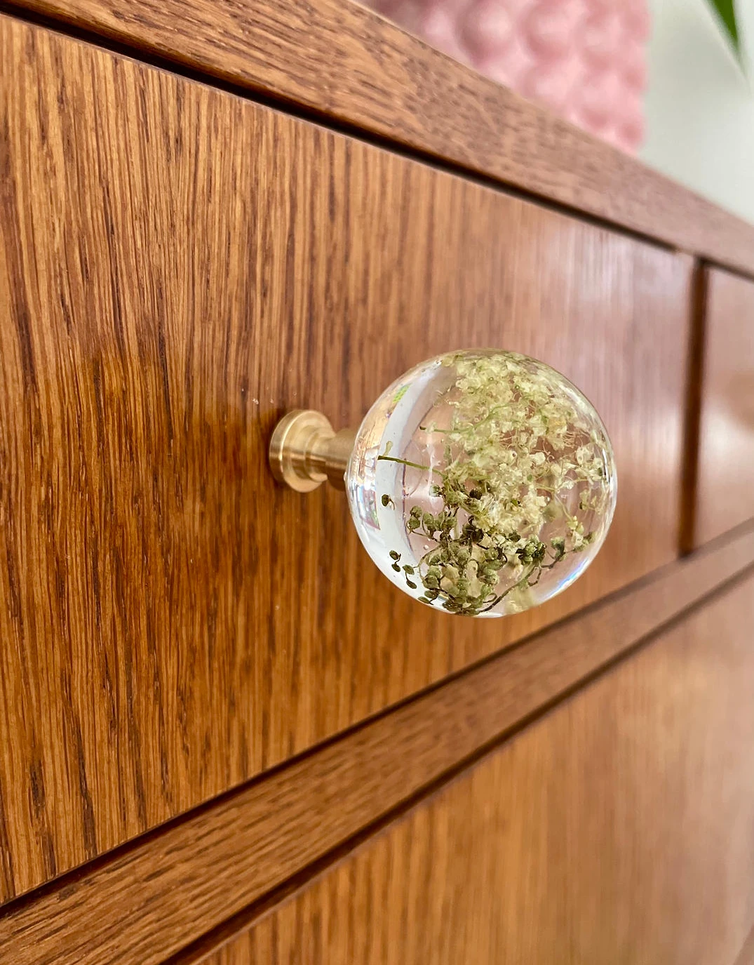 Gałka meblowa Czarny bez (Sambucus nigra) · na dębowej komodzie