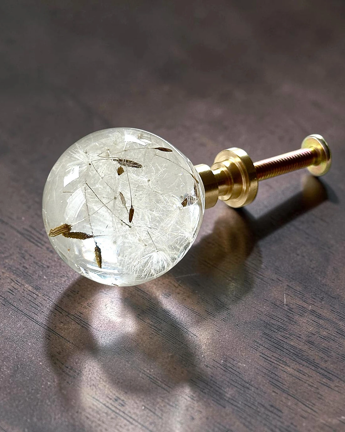 Gałka meblowa Dmuchawiec (Taraxacum officinale) · gałka ze śrubą na ciemnym drewnie