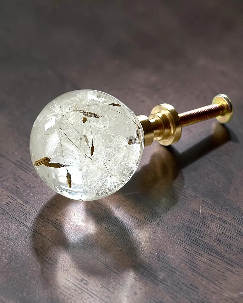 Gałka meblowa Dmuchawiec (Taraxacum officinale)