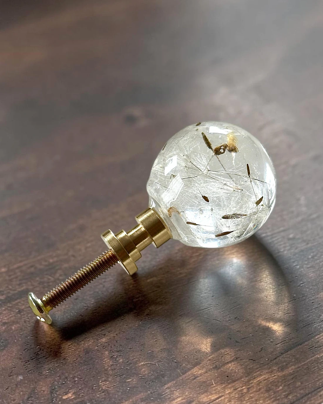 Gałka meblowa Dmuchawiec (Taraxacum officinale) · gałka od strony kwiatu, ze śrubą