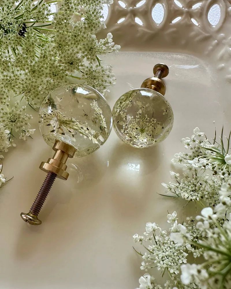 Gałka meblowa Dzika marchew (Daucus carota)