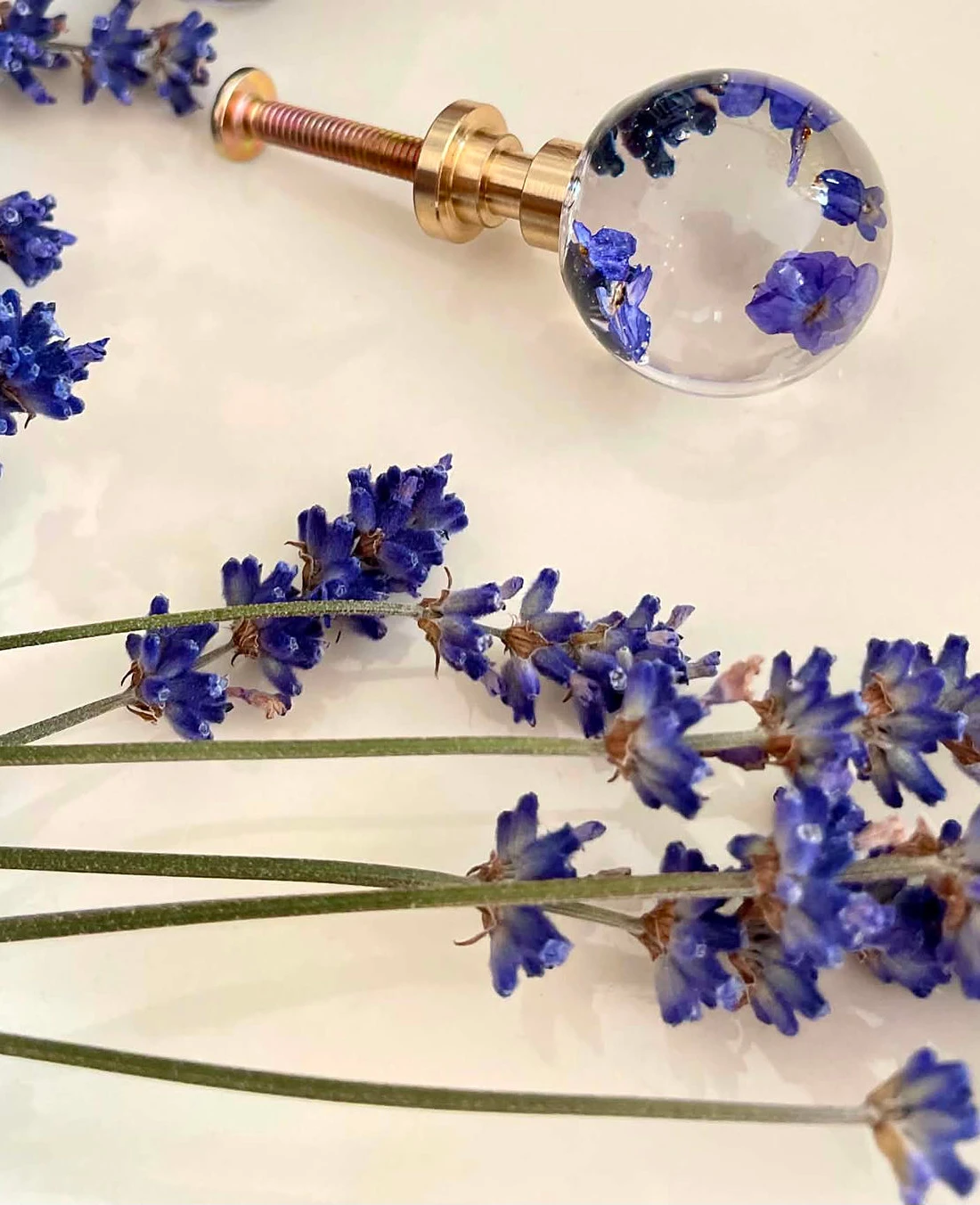 Gałka meblowa Lawenda (Lavandula officinalis) · gałka i gałązki lawendy