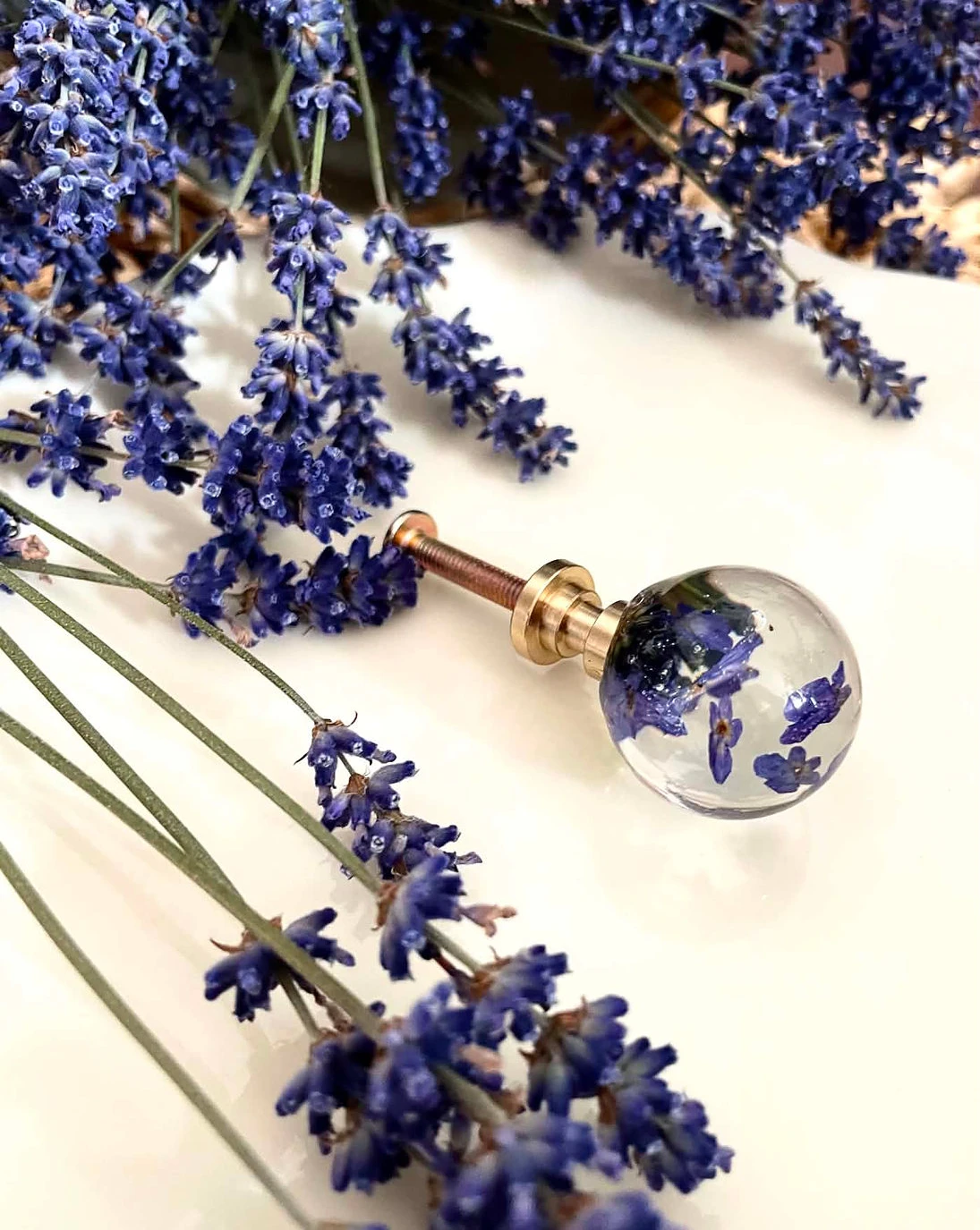 Gałka meblowa Lawenda (Lavandula officinalis) · gałka wśród lawendy