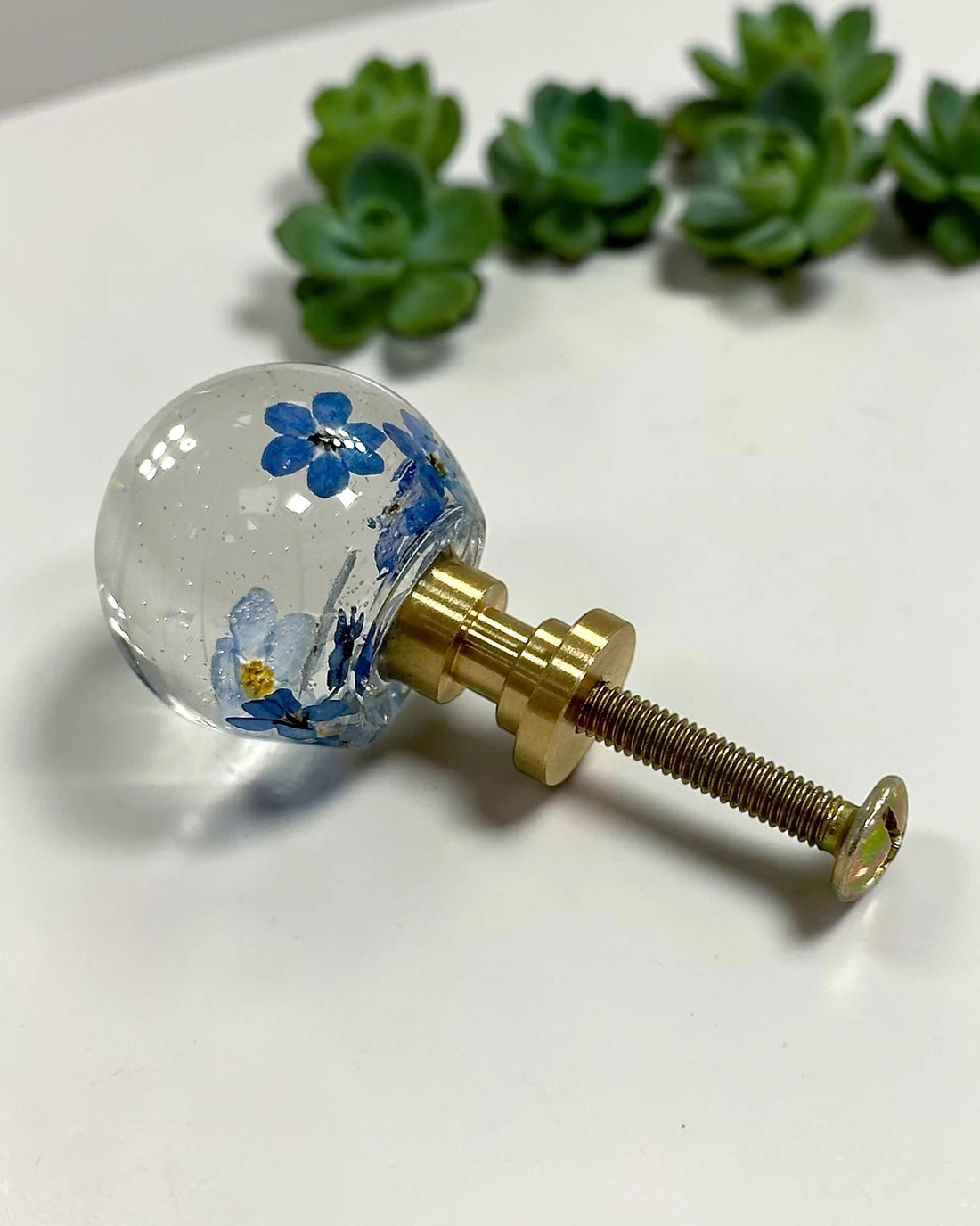 Gałka meblowa Niezapominajka (Myosotis) · gałka i śruba z profilu, w tle sukulenty