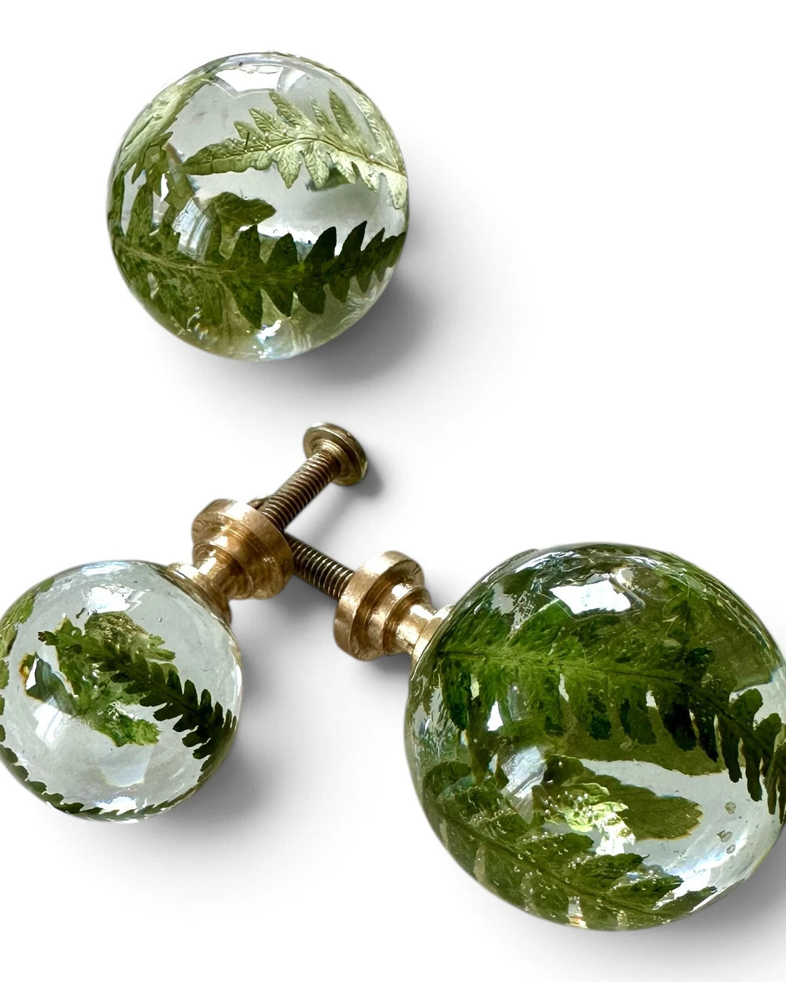 Gałka meblowa Paproć leśna (Dryopteris filix-mas) · trzy rozmiary