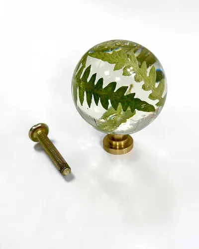 Gałka meblowa Paproć leśna (Dryopteris filix-mas)