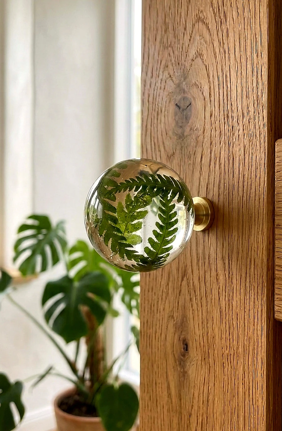 Gałka meblowa Paproć leśna (Dryopteris filix-mas) · gałka przykręcona do dębowych drzwi, w tle monstera