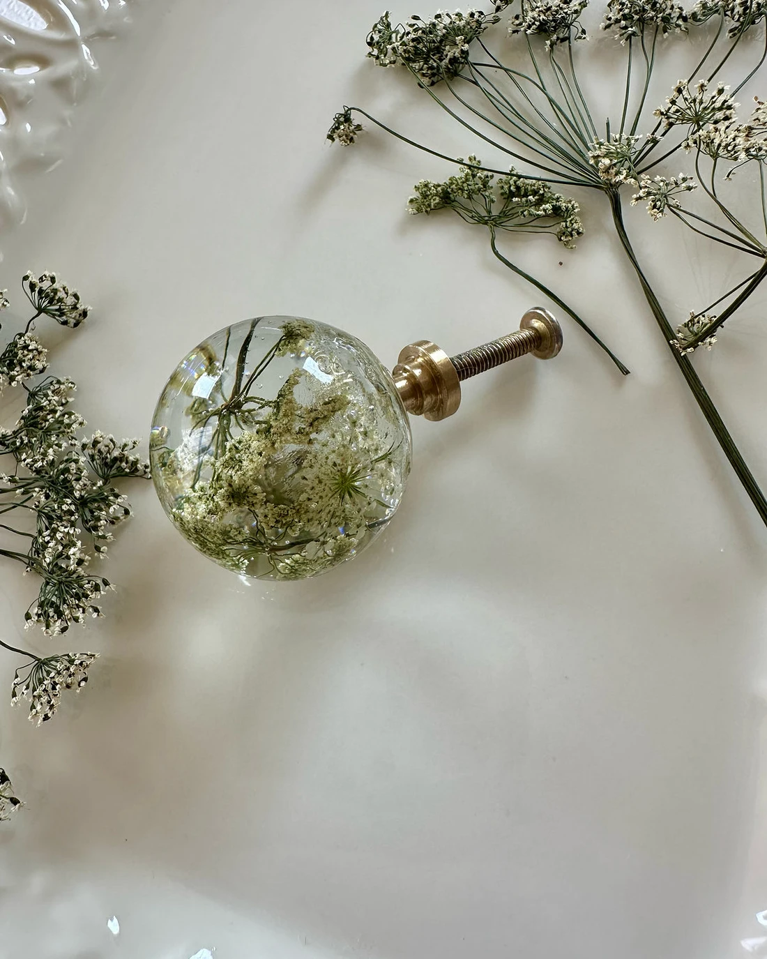 Gałka meblowa Trybula leśna (Anthriscus sylvestris) · cała gałka ze śrubą