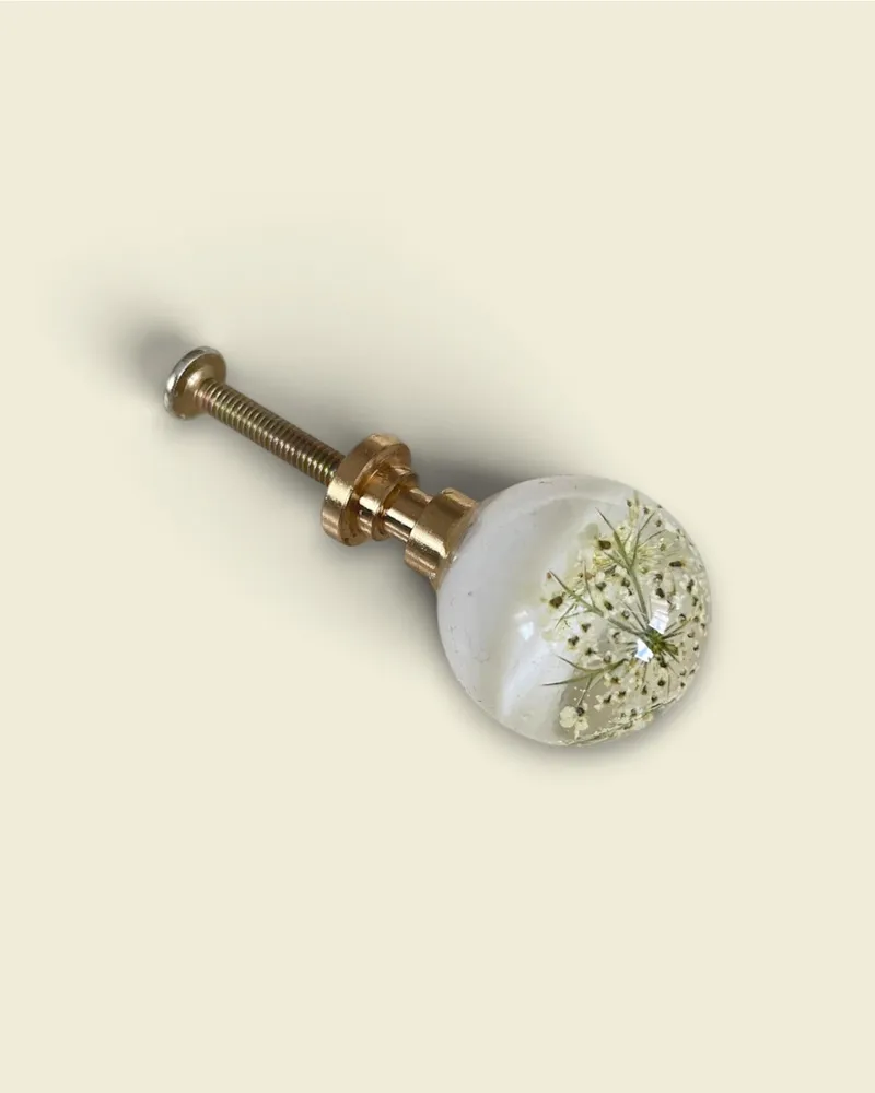 Gałka meblowa Dzika marchew (Daucus carota)