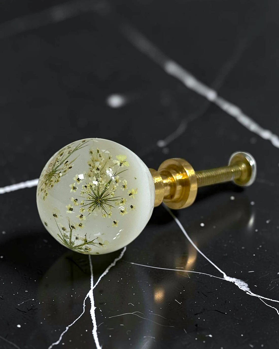 Gałka meblowa Dzika marchew (Daucus carota) · gałka pod kątem, na czarnym marmurze