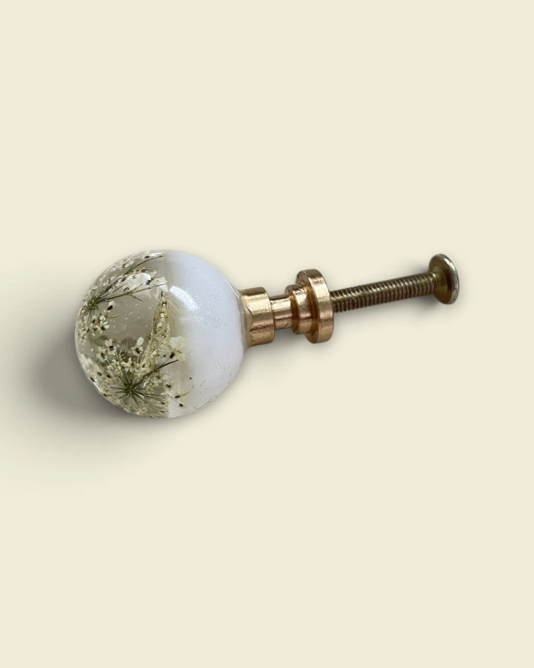 Gałka meblowa Dzika marchew (Daucus carota) · cała gałka ze śrubą