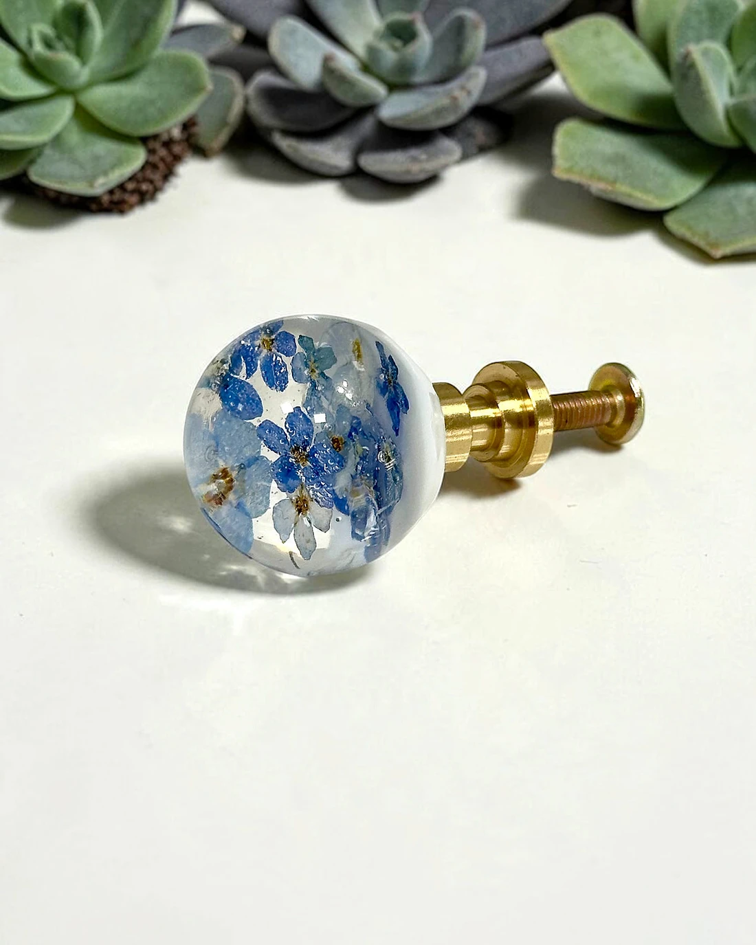 Gałka meblowa Niezapominajka (Myosotis) · gałka ze śrubą, w tle sukulenty
