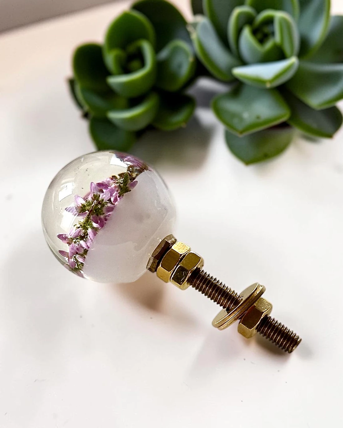 Gałka meblowa Wrzos (Calluna vulgaris) · gałka ze śrubą i nakrętkami, w tle sukulenty